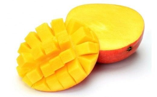 yꌧdzystzy2026NzFn_̉ꌧY ƒp}S[2kg - s\ ꌧY Yn 썑t[c {̖o G߂̉ʕ p Abv}S[ ꌧ d