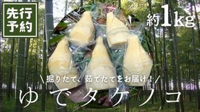 《 先行予約 》新鮮な ゆでタケノコ 約1kg 【2026年4月上旬以降発送】 竹の子 1キロ 筍 たけのこ 水煮 真空パック 国産 たけのこご飯  [DU001us]