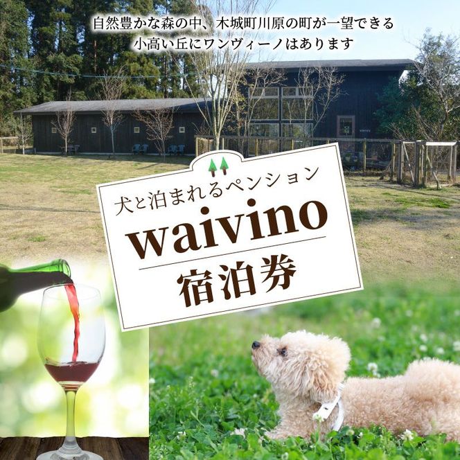 ＜犬と泊まれるペンション「wanvino」5000円分宿泊券＞ K15_0005_1						 