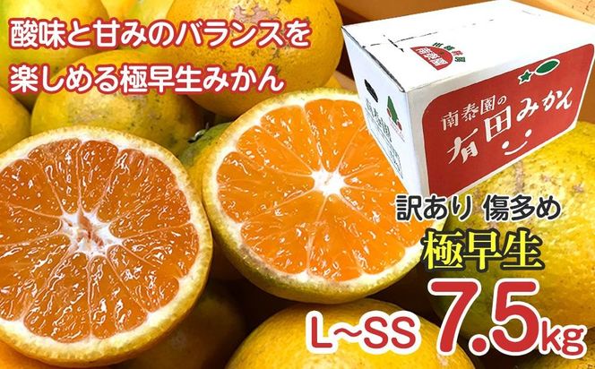 定期便 訳あり 傷多め 7.5kg × 3回 コース 有田みかん 食べくらべ 3種 全3回 南泰園 みかん BS825