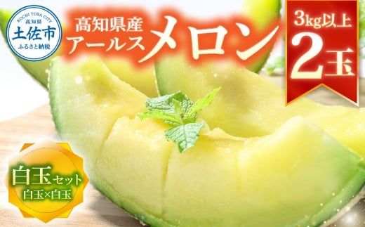 【先行予約】高級土佐アールスメロン2玉入り 〈2027年4月から配送開始〉メロン めろん 白玉セット 白玉×白玉 3kg以上 舐瓜 果物 くだもの フルーツ デザート スイーツ おやつ 高級 常温 配送【有限会社サクセス】 [BQBA003]