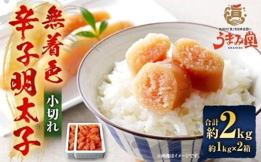 yɕ{sz܂ݓ F hqq ؂ 2kgi1kg×2j ^ q ߂񂽂 hq  ؂q Ƃ Ⓚ