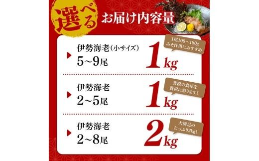 ※内容量が選べる※【担当者厳選！】伊勢海老 【 伊勢えび 魚介類 いせえび 海産物 宮崎県産 国産 】 [B04401][B04402] [B04403]
