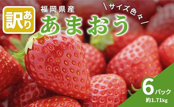 訳あり いちご 2027年2月下旬より発送 あまおう サイズ色々 6パック 約1.71kg 配送不可 離島 果物 フルーツ 福岡県産あまおう 