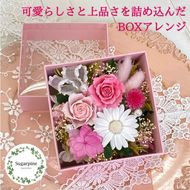 プリザーブドフラワー　フラフィ　春日部市　シュガーパイン(AJ239 )