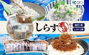 167-22-006　こまつ　しらす厳選セット シラス 本気のシラス 釜揚げ ちりめん 山椒 しらす丼 魚 魚介 海の幸 グルメ 人気 ギフト 贈り物 贈答品 食べ比べ 送料無料 小松水産 茨城県 日立市