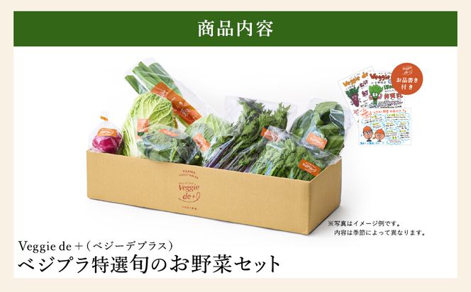 旬のお野菜を新鮮な状態でお届け！ベジプラ特選 旬の野菜セット / 野菜 詰め合わせ セット 野菜セット 新鮮 ギフト やさい 産地直送 苦みが少ない 甘みが強い【野菜例：キャベツ 白菜 ミニトマト レタス とろり葱 ほうれん草 など 】 【Veggie de ＋】
