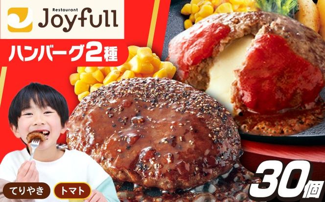 ジョイフル ハンバーグ スペシャル 詰め合わせ 2種 30個 セット《築上町》【株式会社　ジョイフル】[ABAA071]