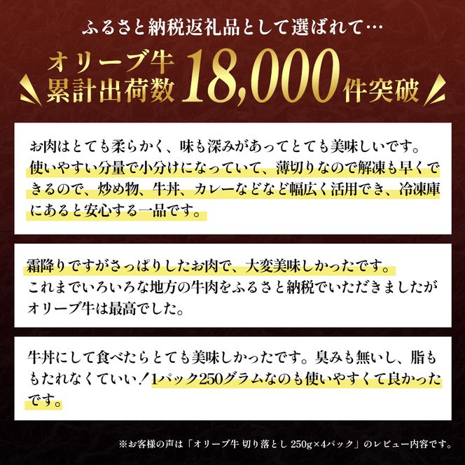 香川県産黒毛和牛オリーブ牛　1kg「切り落とし 250g×4p」 お肉 牛肉 