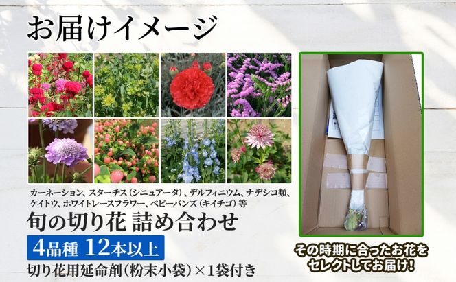 ＜2026年9月～11月まで3ヵ月連続お届け＞ 北海道 花 詰め合わせ 4品種 12本以上 切り花 切花 花束 ブーケ 季節 旬 生花 フラワー アレンジメント 記念日 産地直送 つきがたふるさと花の会