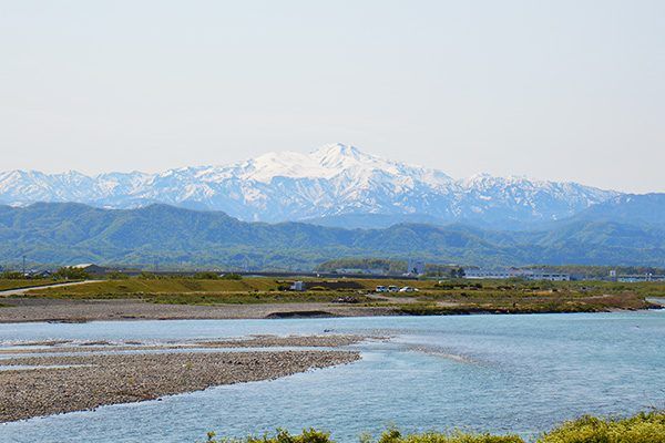 石川県能美産コシヒカリ　ぐっどのみ(精米)10kg お米 白米 ブランド米 銘柄米 ご飯 おにぎり お弁当 和食 主食 国産 炭水化物 産地直送 