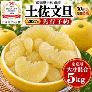 土佐文旦 大小混合 5kg 家庭用 大玉と小玉の詰め合わせ 日本ギフト大賞受賞 文旦発祥の地 園主こだわり 食べ比べ 高知県土佐市産 高知県産 国産 5キロ ぶんたん ブンタン みかん 柑橘類 高級フルーツ 果物 産地直送 お取り寄せ ギフト 季節限定 先行予約 やの一果彩[BQAC013]