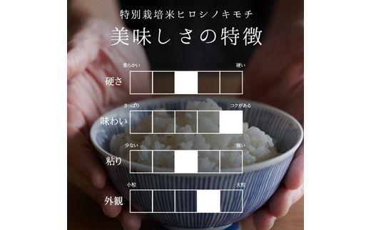 富山県ブランド米 富富富 精米 10kg ふふふ ブランド米 国産 米 お米 日本米 ギフト 贈り物 備蓄 防災 食品 陽咲玲 はるざれ F6T-1011