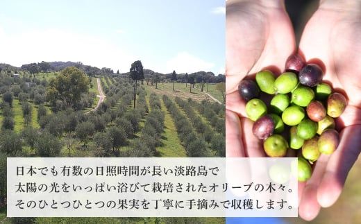 50本セット！「Virgin Valley 淡路阿利布」91ｇ（エキストラバージンオリーブオイル）【2025年度産】