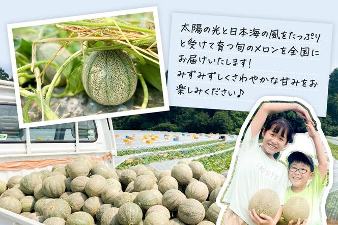 R8年度産 先行受付 メロン3L（1.3キロ前後）×2玉（レノンレッド）秋田県 男鹿市|23_bla-010201