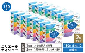 【2回お届け 計120箱】エリエール ティシュー 180組5箱 12パック ティッシュペーパー 箱ティッシュ ボックスティッシュ 紙 まとめ買い 防災 常備品 備蓄品 消耗品 日用品 生活必需品 送料無料 赤平市 ストック 