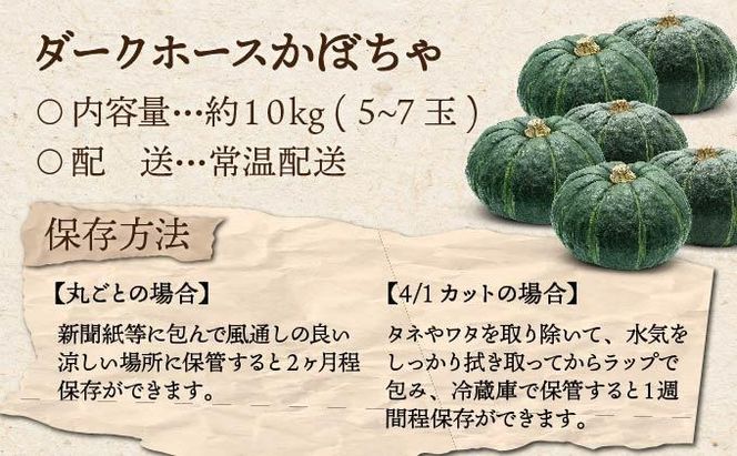【 2026年 発送 】 先行予約 北海道 ダークホース かぼちゃ 5玉～7玉 約10kg カボチャ 南瓜 伊達野菜 産地直送 新鮮 採れたて 甘い ホクホク 煮物 天ぷら スープ プリン 詰め合わせ セット 木須農園 送料無料