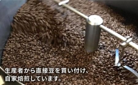 【年内発送】中煎り コーヒー 豆 250g × 2袋 （ 豆 ・ 粉 選べます ） ニカラグア産 エルポルベニール農園 ジャバニカ種 ナチュラル 《糸島》 【COFFEE UNIDOS】 [AQF005] 珈琲 カフェ コーヒー粉