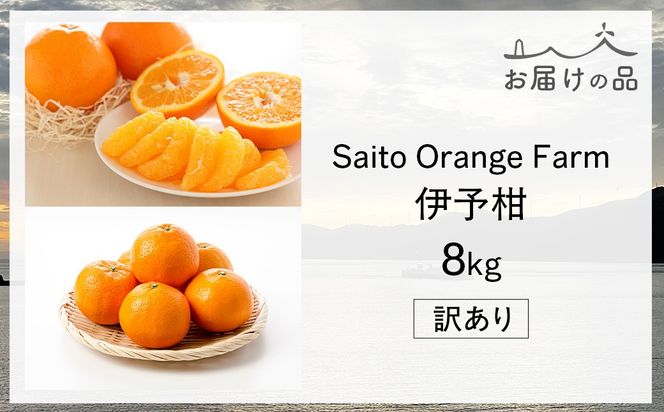 【先行予約】Saito Orange Farm　お徳・訳あり用　伊予柑8kg ｜ 柑橘 みかん ミカン フルーツ 果物 伊予柑　宮内伊予柑　 愛媛　　※2027年1月上旬頃より順次発送予定 IKTAQ038