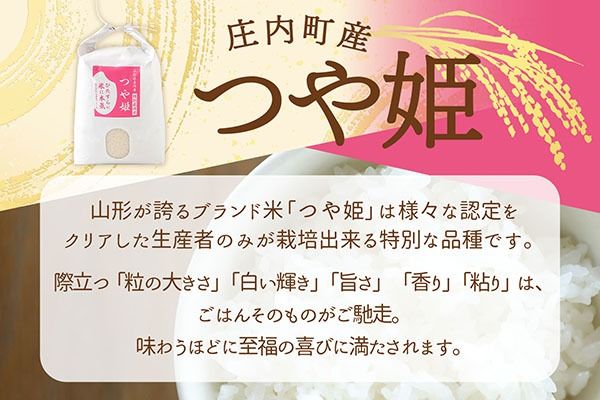 【新米受付】令和8年産 特別栽培米 つや姫 10kg 渡會さんのうまい米！ 5kg×2袋 2026年産 ブランド米 米 国産 単一原料米 山形 庄内平野 コシヒカリの原点、亀の尾発祥の地 庄内【R8.10月以降発送開始/入金期限：2026年9月15日】