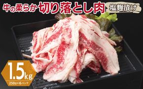 G3361 牛肉 切り落とし 塩麹漬け 合計1.5kg【味付け 小分け 焼くだけ 簡単調理 BBQ 牛肉 250g×6袋】