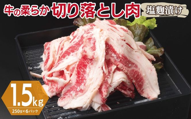 y{򍲖szG3361  ؂藎Ƃ Ђ v1.5kgyt  Ă ȒP BBQ  250g×6܁z