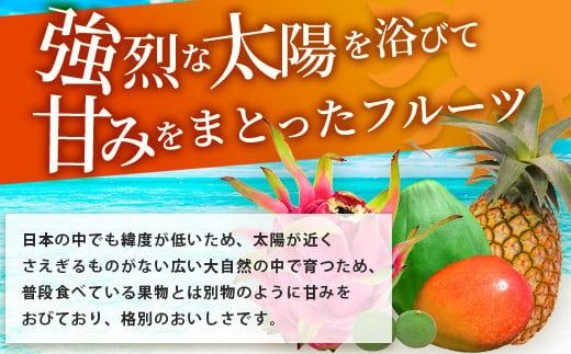 《2025年7月中旬～9月上旬順次発送予定》石垣島の夏「果物」詰め合わせ～夏のタカラモノ果物便～【 産地直送 沖縄 石垣 石垣島 くだもの トロピカルフルーツ 果物 南国 フルーツ 詰め合わせ フルーツ便 】SH-5