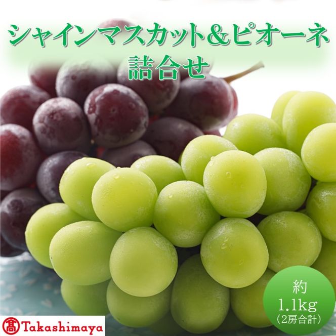 2027年 早期受付【高島屋選定品】シャインマスカット＆ピオーネ詰合せ 約1.1kg（2房合計） 岡山県高梁市産 個装箱入り 葡萄 ブドウ 贈り物
