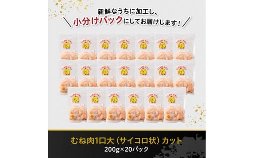 《発送月が選べる》宮崎県産若鶏むねサイコロカット4kg 【 鶏肉 鶏 肉 国産 九州産 宮崎県産 ムネ 真空パック 小分け 】 [D06902]