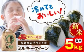 【令和8年産】 ミルキークイーン 白米 5kg 糸島市産 糸島市 / 糸島の恵み コメ こめ ご飯[AGR022]