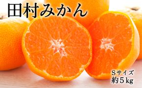 【手選果】有田産の八朔10kg（Lまたは2Lサイズいずれかお届け）＜2027年1月下旬～2027年2月下旬頃に順次発送＞【tec846A】