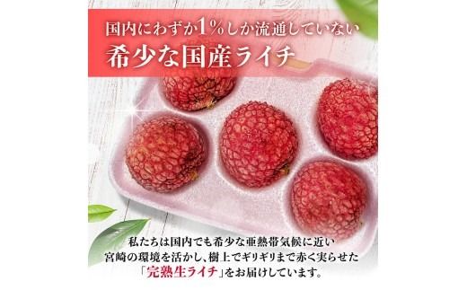 ※サイズが選べる※【令和8年産】川南町産ライチ 10粒(5粒×2パック) 【 国産ライチ フルーツ デザート 宮崎県産 】 [B03201 B03202 B03203]