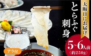 2026年12月31日大晦日にお届け 長崎県産 とらふぐ 刺身 5～6人前 アラ付き / ふぐ フグ 河豚 トラフグ ふぐ刺し 冷蔵 着日指定 年内配送 / 南島原市 / 大和庵 [SCJ027]