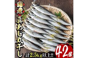 国産真あじ丸干し(計42尾・14尾×3箱：計2.5kg以上)干物 鯵 セット 魚 魚介類 簡単 調理 冷凍【E-21】【水永水産】