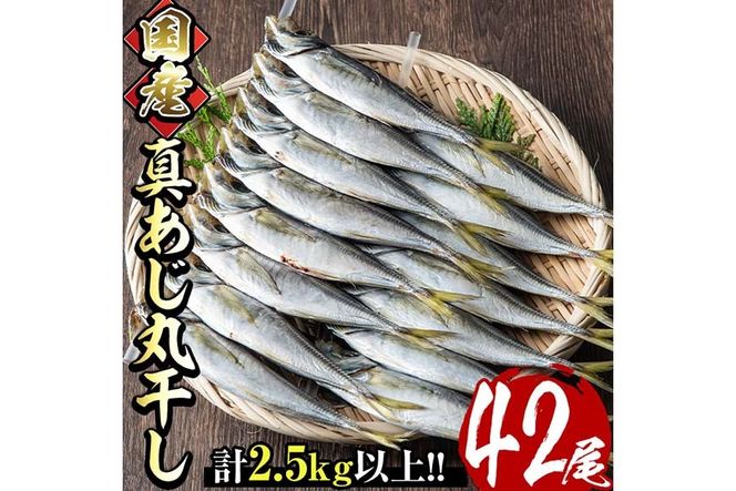 国産真あじ丸干し(計42尾・14尾×3箱：計2.5kg以上)干物 鯵 セット 魚 魚介類 簡単 調理 冷凍【E-21】【水永水産】