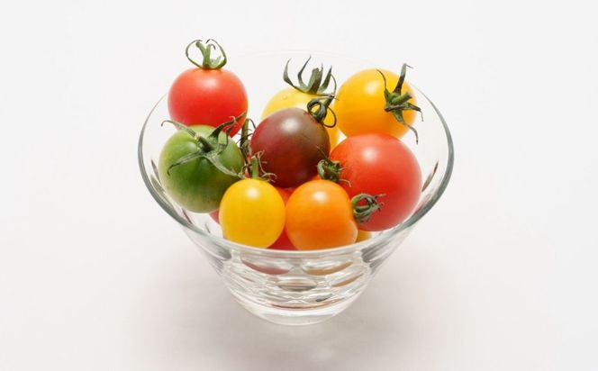 鈴鹿山麓トマト「カラフルミニトマト」箱詰め（1.8kg入り）【トマト ミニトマト 採れたて 自然 栽培 水耕栽培 野菜 甘い あまい おいしい 美味しい 三重県 四日市市 ふるさと納税】