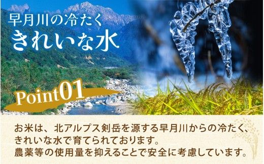 富山県滑川市産　弱アルカリ性米　「ピロール農法米　いのちの壱」玄米5kg【2025年10月中旬より順次発送】 / 産地直送 袋 ブランド米 お米 米 ご飯 ごはん 富山 滑川市 アグリめぐみ 農家直送 おこめ