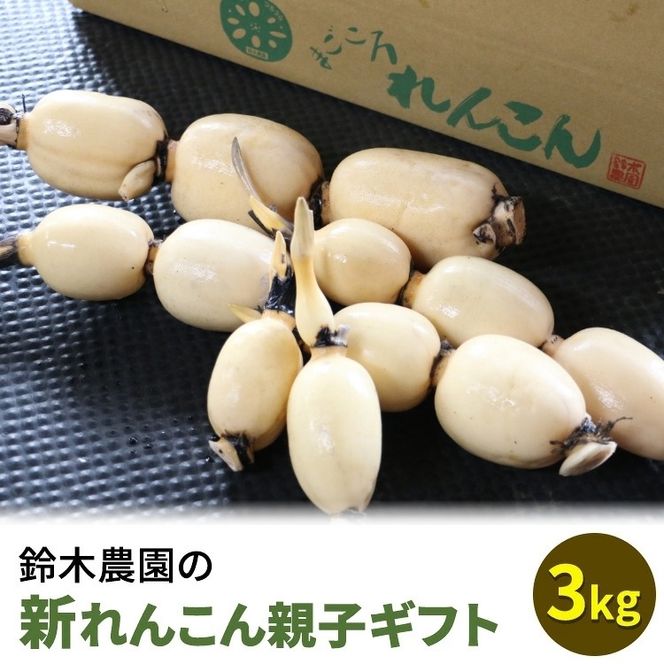 y錧yYszؔ_̐V񂱂eqMtg 3kg ւ̔zs 2025N11{`12{ɏ\