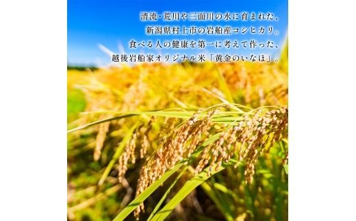 【新米受付・令和8年産米】自然豊かな風土が育んだ新潟県村上市岩船産コシヒカリ2kgと杵つき黄金もち4枚（200g）×5袋セット　1017004N