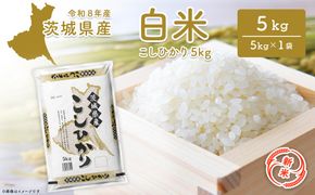 ◎新米◎ コシヒカリ 5kg 米 小分け 茨城県産 2026年産 【令和8年産/白米】K2670