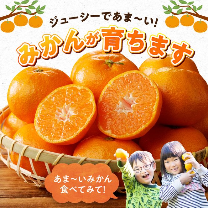 G7339_【2026年11月下旬頃より発送】高級ブランド 秀品 紀州有田田村産みかん 3kg 濃厚 糖度 酸味 バランス 甘さ コク 国産 みかん 有田みかん フルーツ 果物 果実 デザート おやつ お取り寄せ お取り寄せフルーツ 和歌山県 湯浅町 送料無料