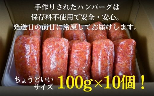 松阪牛 生ハンバーグ 1kg ( 100g ✕ 10個 ) 【1-439】