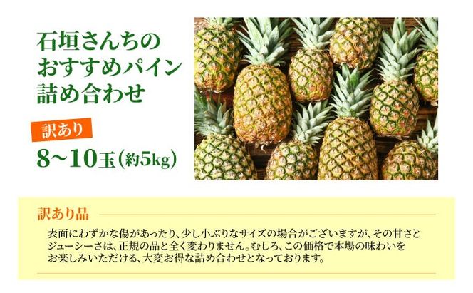 訳あり 石垣さんちのおすすめパイン詰め合わせ 8～10玉 (約5kg)《2026年4中旬から順次発送》 TP-21