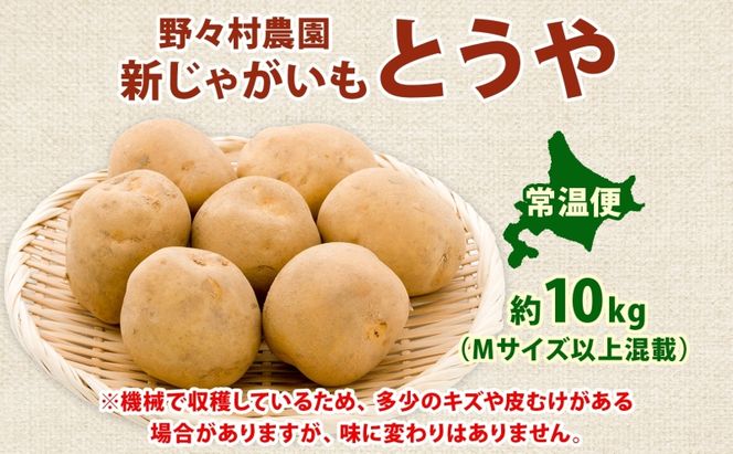北海道 洞爺湖町産 新じゃがいも とうや 約10kg  Mサイズ以上混載 2026年10月初旬より順次出荷 北海道産 新じゃが じゃがいも ジャガイモ 馬鈴薯 旬 野菜 農作物 送料無料 産地直送 常温 洞爺湖町 