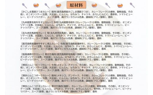 【B-252】九州のカレーセット(レトルトカレー8食入り)
