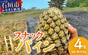 【先行予約】《2026年5月上旬頃より順次発送》石垣島産 スナックパイン (4玉 約4kg)【 産地直送 沖縄 石垣 パイナップル パイン スナック フルーツ トロピカル 南国 】 TP-8-1