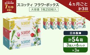 定期便 ティッシュ スコッティ フラワーボックス 3箱 × 6 パック《 4ヶ月ごと計 3回 》ティッシュセット
