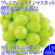 2026年予約受付中【2回定期便】 プレミアムシャインマスカット晴王1房約600g 人気 岡山県産 赤秀品  種無し 皮ごと食べる みずみずしい 9月・10月にお届け   ハレノフルーツ