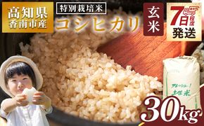 【7日程度で発送】特別栽培米 コシヒカリ 玄米 30kg - 国産 米 お米 おこめ こしひかり 玄米 ごはん おにぎり おむすび ご飯 最短配送 スピード発送 早い 早く届く 農業公社 高知県 香南市 常温 nu-0009