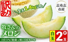 【冬限定・数量限定】牧さんの訳ありメロン 白玉(青肉)計2玉 b0-106-w